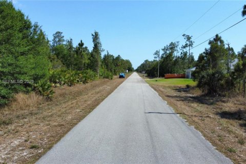 Land in Lehigh Acres, Florida № 2158261 - photo 13