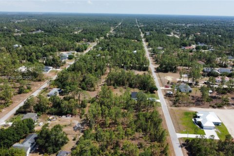 Land in Lehigh Acres, Florida № 2158261 - photo 4