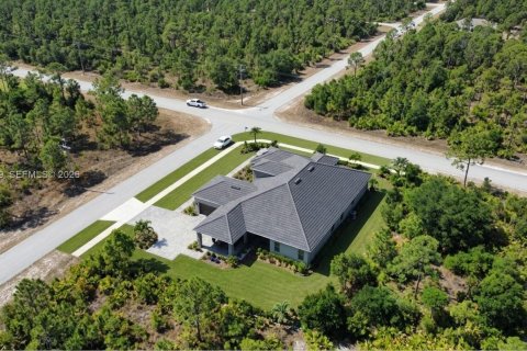 Land in Lehigh Acres, Florida № 2158261 - photo 2