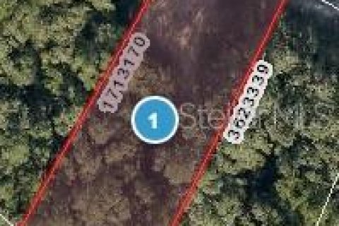 Terreno en Lady Lake, Florida № 2218486