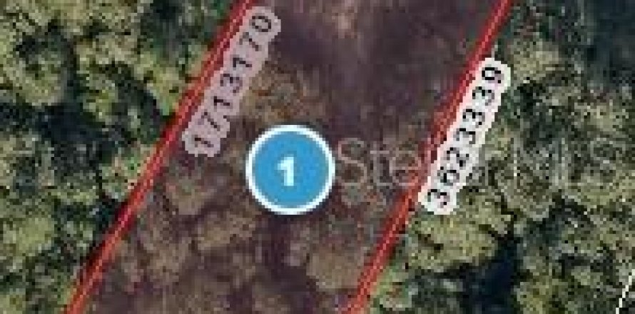 Terreno en Lady Lake, Florida № 2218486