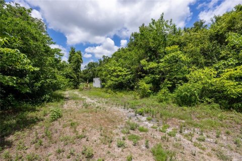 Immobilier commercial à vendre à Ocala, Floride: 96.62 m2 № 2212871 - photo 3