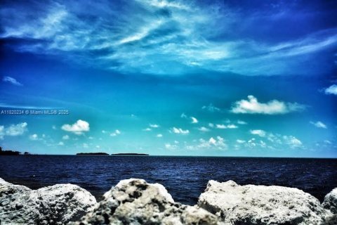 Casa en venta en Key Largo, Florida, 3 dormitorios, 167.6 m2 № 1779547 - foto 20