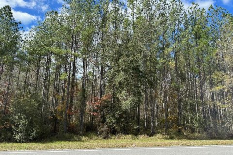 Terreno en venta en Fort MC Coy, Florida № 1535846 - foto 2