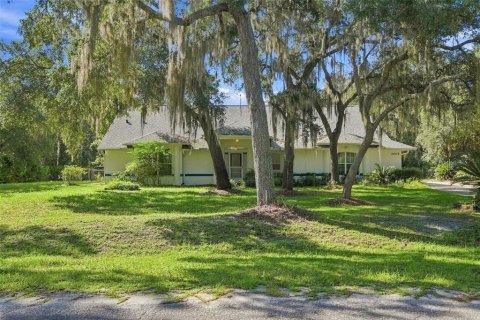 Villa ou maison à vendre à Eustis, Floride: 3 chambres, 193.52 m2 № 2359312 - photo 4
