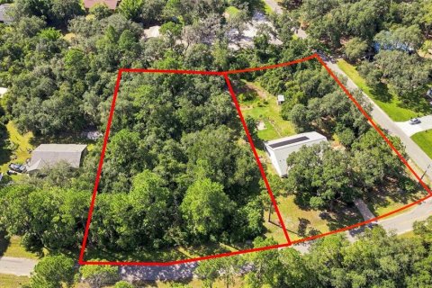 Villa ou maison à vendre à Eustis, Floride: 3 chambres, 193.52 m2 № 2359312 - photo 2
