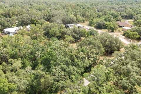 Land in Webster, Florida № 1760007 - photo 10