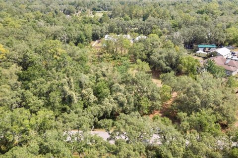Land in Webster, Florida № 1760007 - photo 5