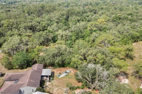 Land in Webster, Florida № 1760007 - photo 7