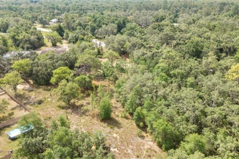 Land in Webster, Florida № 1760007 - photo 9