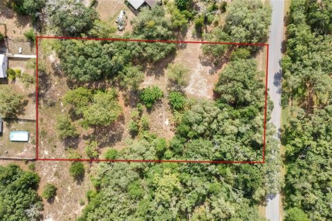 Land in Webster, Florida № 1760007 - photo 2
