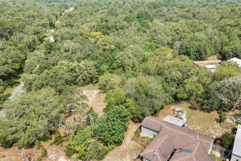 Land in Webster, Florida № 1760007 - photo 3