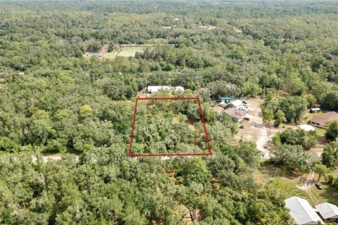 Land in Webster, Florida № 1760007 - photo 1