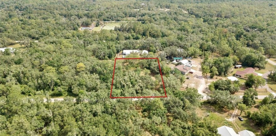 Land in Webster, Florida № 1760007