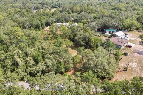 Land in Webster, Florida № 1760007 - photo 4