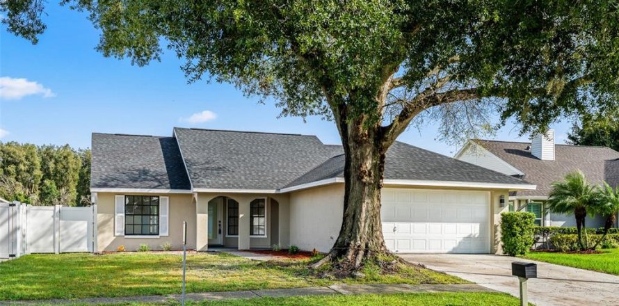 House in Tampa, Florida 3 bedrooms, 137.87 sq.m. № 2413775