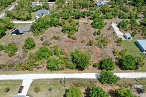 Terrain à Punta Gorda, Floride № 2233130