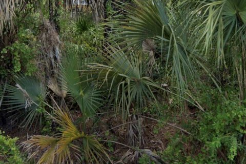 Land in North Port, Florida № 2166486