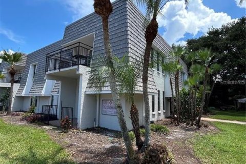 Condominio en alquiler en Dunedin, Florida, 1 dormitorio, 75.99 m2 № 1893964 - foto 13