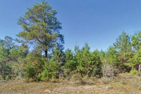 Land in Chipley, Florida № 2162863