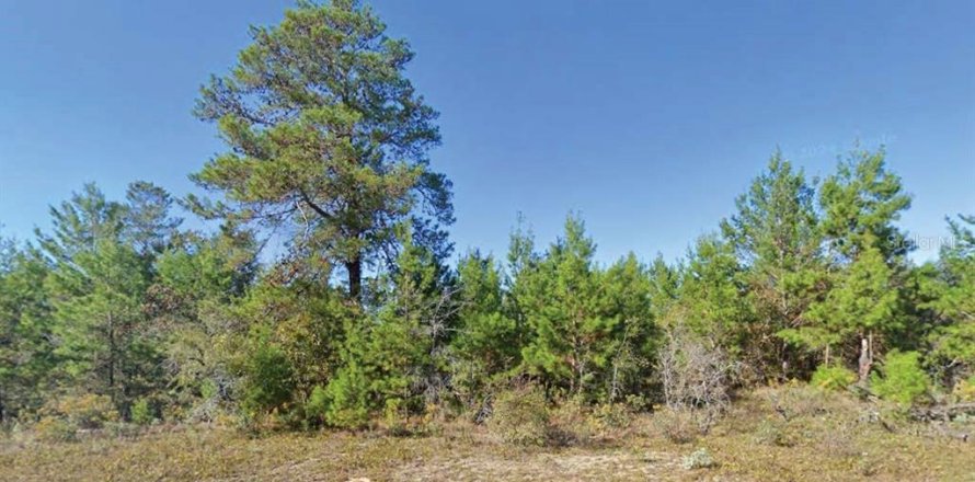 Land in Chipley, Florida № 2162863