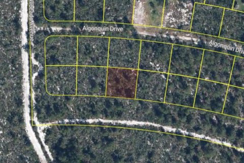 Land in Sebring, Florida № 2158503