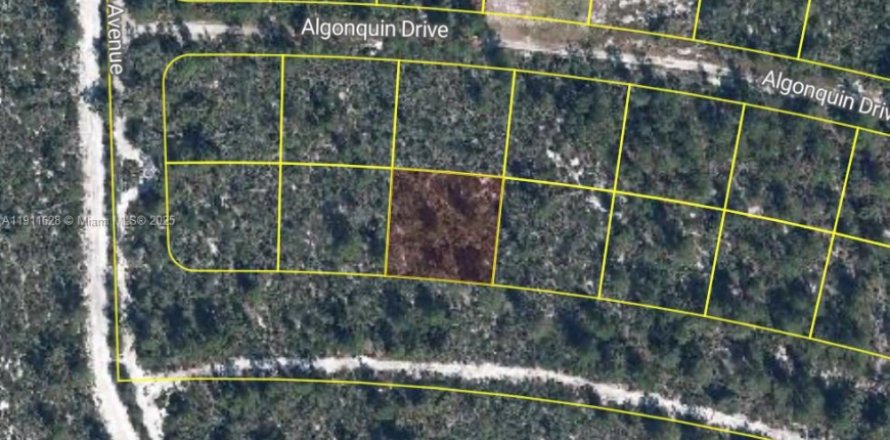 Land in Sebring, Florida № 2158503