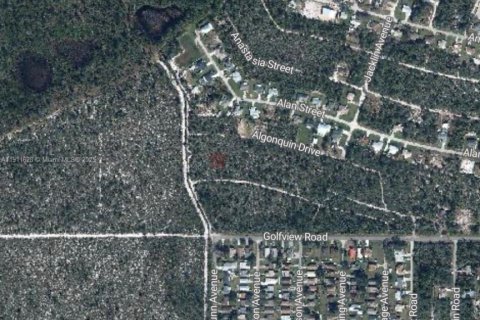 Land in Sebring, Florida № 2158503 - photo 3