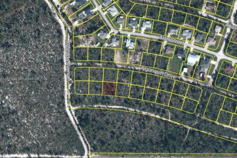 Land in Sebring, Florida № 2158503 - photo 2