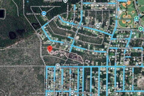 Land in Sebring, Florida № 2158503 - photo 5