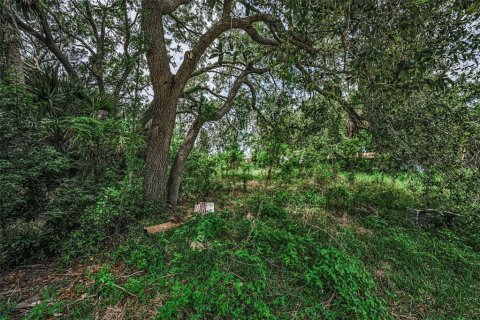 Land in Hudson, Florida № 2148165 - photo 18