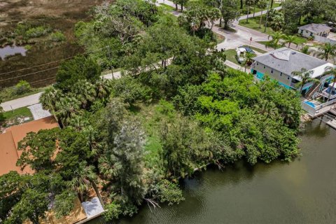 Land in Hudson, Florida № 2148165 - photo 5