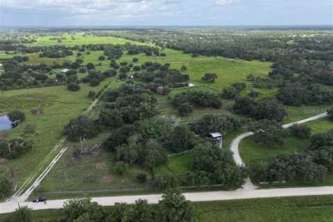 Terrain à Myakka City, Floride № 2120141