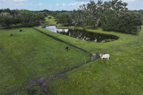 Terrain à vendre à Myakka City, Floride № 2120141 - photo 11