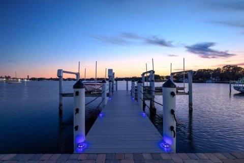 Casa en venta en Saint Petersburg, Florida, 7 dormitorios, 675.31 m2 № 2380974 - foto 7