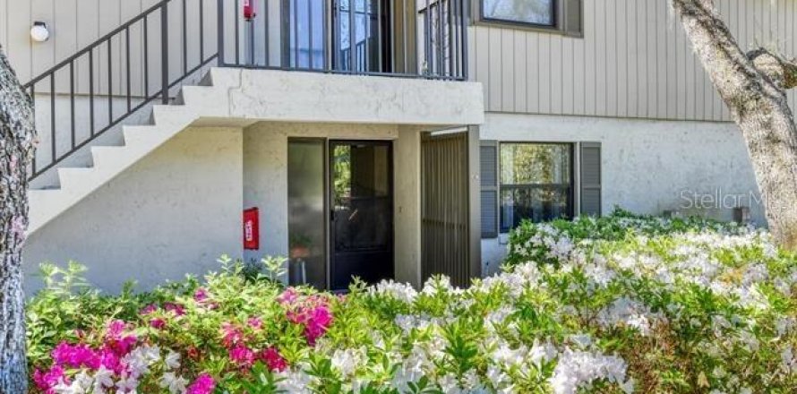 Condo in Saint Augustine, Florida, 2 bedrooms  № 1723536
