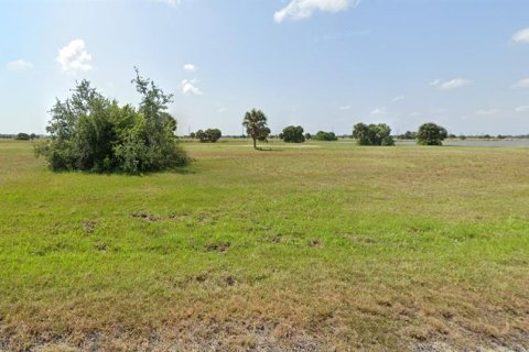 Land in Placida, Florida № 2159704 - photo 2