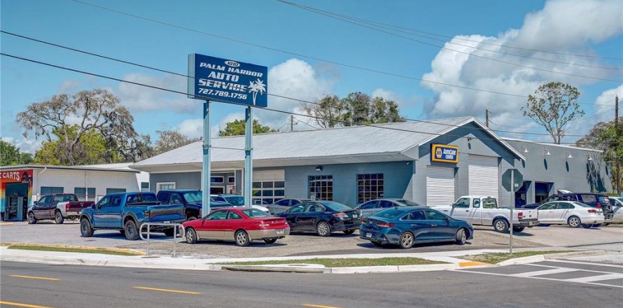 Immobilier commercial à Palm Harbor, Floride 752.51 m2 № 1917116