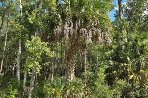 Terreno en venta en Fort MC Coy, Florida № 2120019 - foto 6