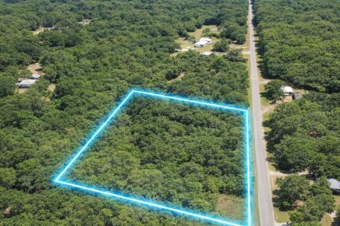 Terreno en venta en Fort MC Coy, Florida № 2120019 - foto 2