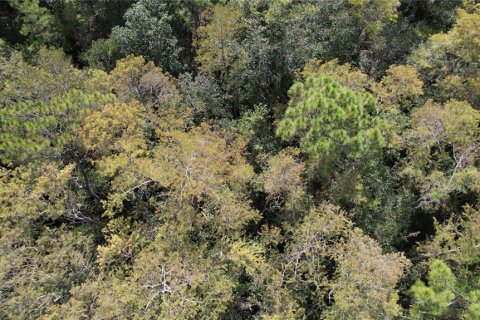 Terreno en venta en Fort MC Coy, Florida № 2120019 - foto 13