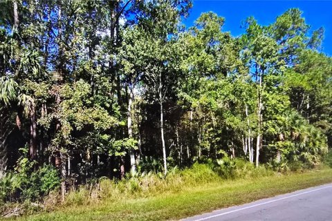 Terreno en venta en Fort MC Coy, Florida № 2120019 - foto 4