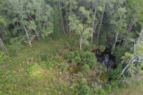 Terreno en venta en Fort MC Coy, Florida № 2120019 - foto 17