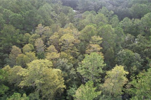 Terreno en venta en Fort MC Coy, Florida № 2120019 - foto 14