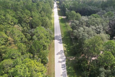 Terreno en venta en Fort MC Coy, Florida № 2120019 - foto 7