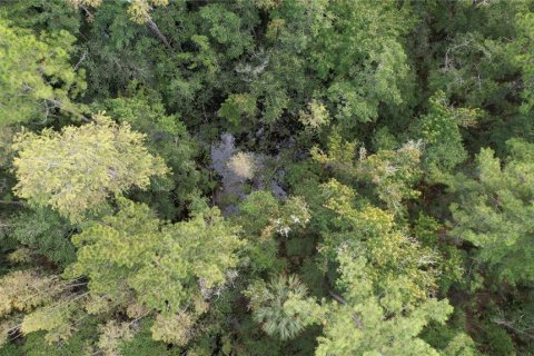 Terreno en venta en Fort MC Coy, Florida № 2120019 - foto 16