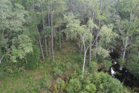 Terreno en venta en Fort MC Coy, Florida № 2120019 - foto 18