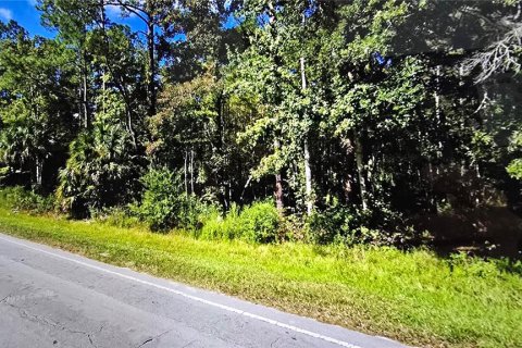 Terreno en venta en Fort MC Coy, Florida № 2120019 - foto 5