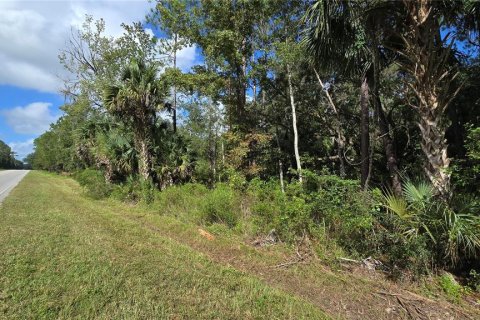 Terreno en venta en Fort MC Coy, Florida № 2120019 - foto 20