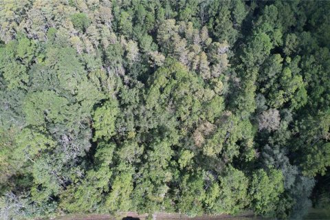 Terreno en venta en Fort MC Coy, Florida № 2120019 - foto 9